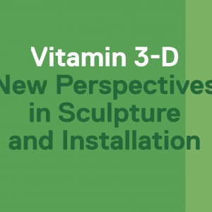 Vitamin 3-D book cover