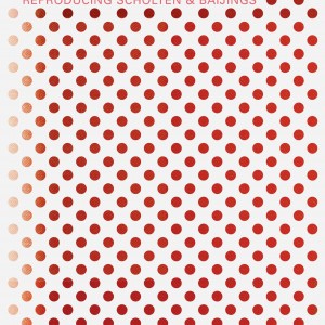 Reproducing Scholten & Baijings book cover