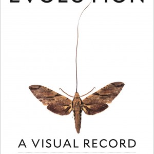 Evolution book cover
