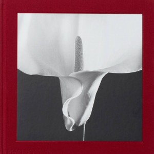 Mapplethorpe Flora book cover