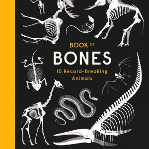 Book of Bones book cover