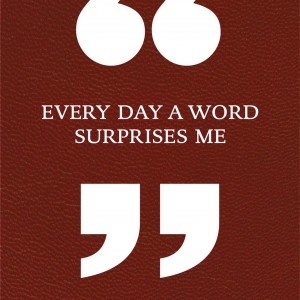 Every Day a Word Surprises Me & Other Quotes by Writers book cover