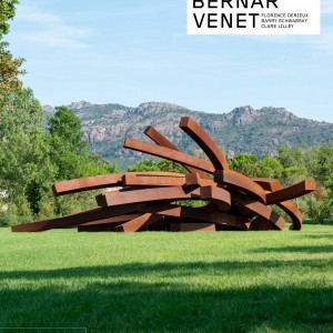 Bernar Venet book cover