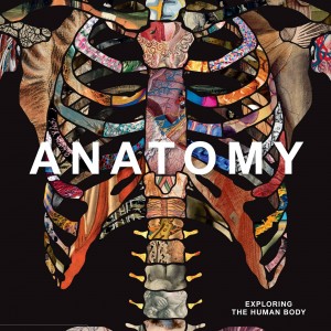 Anatomy book cover
