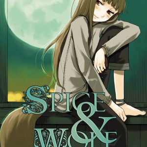 Spice and Wolf, Vol. 1 (light novel) book cover