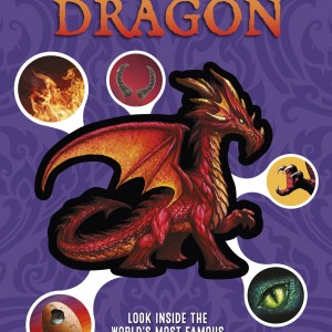 Inside Out Dragon book cover