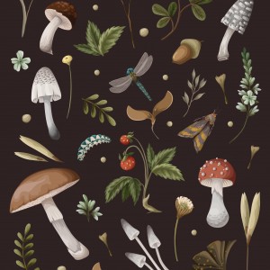 Mushroom Lined Journal book cover