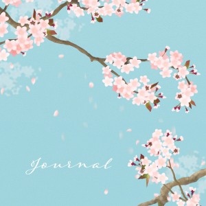 Spring Cherry Blossoms Journal book cover