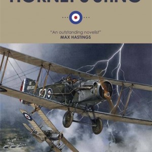 Hornet's Sting book cover