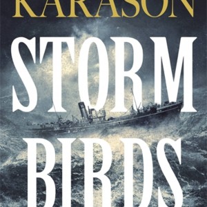 Storm Birds book cover
