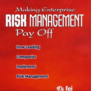 Making Enterprise Risk Management Pay Off book cover
