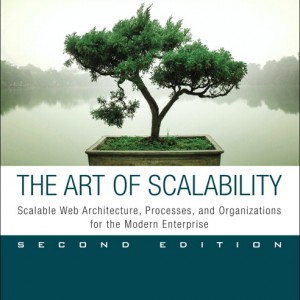 Art of Scalability, The book cover