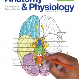 Anatomy and Physiology Coloring Workbook book cover
