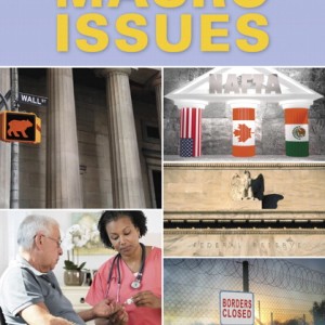 Economics of Macro Issues, The book cover