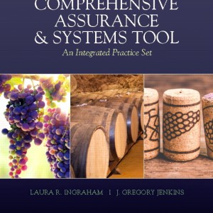 Comprehensive Assurance & Systems Tool (CAST) book cover