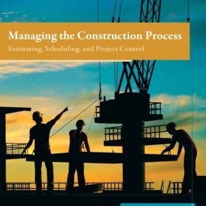Managing the Construction Process book cover