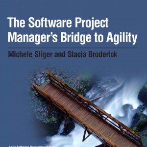 Software Project Manager's Bridge to Agility, The book cover