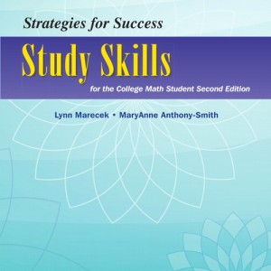 Strategies For Success book cover