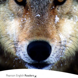 Level 2: White Fang book cover