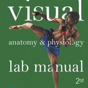 Visual Anatomy & Physiology Lab Manual, Main Version book cover
