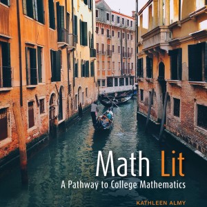 Math Lit book cover