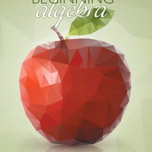 Beginning Algebra book cover