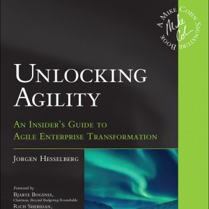 Unlocking Agility book cover