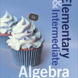 Elementary and Intermediate Algebra for College Students book cover