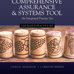 Comprehensive Assurance & Systems Tool (CAST) -- Assurance Practice Set book cover