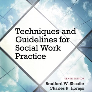 Techniques and Guidelines for Social Work Practice book cover
